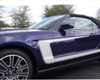 2010-14 Mustang Side Body C-Stripe Kit